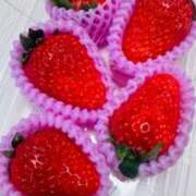 ヒメ日記 2026/01/08 22:42 投稿 キザキ 名古屋★出張マッサージ委員会