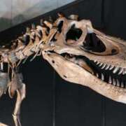 ヒメ日記 2025/10/15 21:33 投稿 せれん プレイボーイ　アゲハ