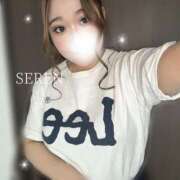 ヒメ日記 2026/01/18 14:05 投稿 せれん プレイボーイ　アゲハ