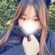 ヒメ日記 2026/02/17 09:17 投稿 せれん プレイボーイ　アゲハ