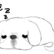 ヒメ日記 2025/10/29 01:54 投稿 せな スピード梅田店