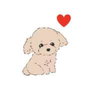 ヒメ日記 2025/11/09 03:54 投稿 せな スピード梅田店