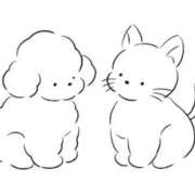 ヒメ日記 2025/11/10 03:24 投稿 せな スピード梅田店