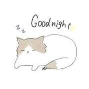 ヒメ日記 2025/11/13 02:14 投稿 せな スピード梅田店