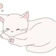 ヒメ日記 2025/11/15 02:14 投稿 せな スピード梅田店