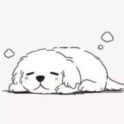 ヒメ日記 2025/11/20 02:24 投稿 せな スピード梅田店