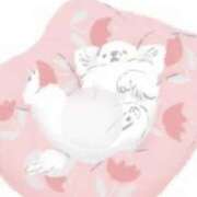 ヒメ日記 2025/11/25 02:57 投稿 せな スピード梅田店