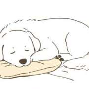 ヒメ日記 2026/01/10 04:34 投稿 せな スピード梅田店