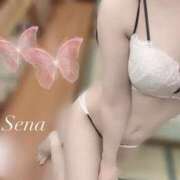 ヒメ日記 2026/03/31 19:55 投稿 せな スピード梅田店