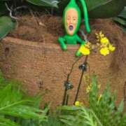 ヒメ日記 2025/11/26 17:35 投稿 のん ハンドリング　亀頭責め専門店