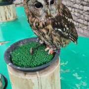 ヒメ日記 2025/12/02 17:25 投稿 のん ハンドリング　亀頭責め専門店