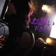 ヒメ日記 2025/12/11 04:35 投稿 のん ハンドリング　亀頭責め専門店