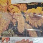 ヒメ日記 2025/12/30 20:25 投稿 のん ハンドリング　亀頭責め専門店