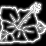 ヒメ日記 2026/02/05 23:25 投稿 のん ハンドリング　亀頭責め専門店