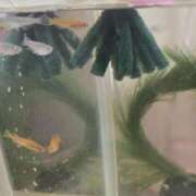 ヒメ日記 2026/03/12 22:35 投稿 のん ハンドリング　亀頭責め専門店