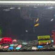 ヒメ日記 2026/03/19 04:45 投稿 のん ハンドリング　亀頭責め専門店