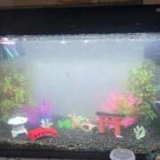 ヒメ日記 2026/03/26 14:25 投稿 のん ハンドリング　亀頭責め専門店