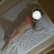 ヒメ日記 2026/03/30 04:25 投稿 のん ハンドリング　亀頭責め専門店