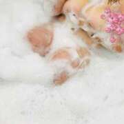 みさ ムチムチ(ﾉ)*´꒳`*(ヾ) サンキュー福岡店