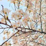 ヒメ日記 2026/03/31 21:26 投稿 有栖川 ちよの リップスティック