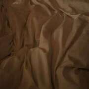 ヒメ日記 2025/11/19 03:35 投稿 なぁな サンキュー仙台店