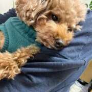 ヒメ日記 2025/11/23 03:25 投稿 なぁな サンキュー仙台店