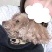 ヒメ日記 2025/12/15 08:35 投稿 なぁな サンキュー仙台店