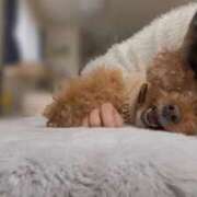 ヒメ日記 2025/12/21 07:05 投稿 なぁな サンキュー仙台店