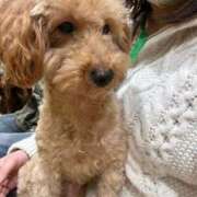 ヒメ日記 2025/12/22 20:35 投稿 なぁな サンキュー仙台店