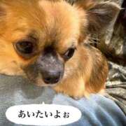 ヒメ日記 2025/12/24 18:45 投稿 なぁな サンキュー仙台店