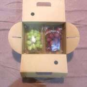 ヒメ日記 2025/10/11 20:36 投稿 あいら ホワイトハウス