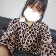 ヒメ日記 2025/10/15 12:05 投稿 ユニ MEGA PALACE(メガパレス）