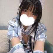 ヒメ日記 2026/01/07 14:43 投稿 ユニ MEGA PALACE(メガパレス）