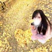 佐藤　まりあ 姫納め…🩷 川崎南町人妻高級ソープ エル・カーヒル(ELCURHIL)秘密の刻