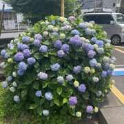 ヒメ日記 2025/11/02 20:46 投稿 村田 熟女待機所 厚木店