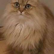 まな うちの天使👼🏻♡♡ CLUB ROOKIE（ルーキー）