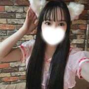 ヒメ日記 2025/12/13 09:59 投稿 もこ ホワイトハウス