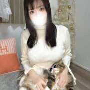 きい 🩵猫もだめにするおっぱい。 池袋夢幻