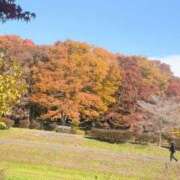 ヒメ日記 2025/11/20 15:00 投稿 すず 池袋で熟女の風俗 マダムいやーん