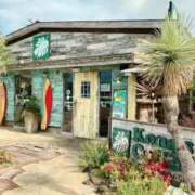 ヒメ日記 2025/11/06 19:37 投稿 竹内菜月 五十路マダム 博多店