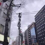 ヒメ日記 2026/02/10 08:27 投稿 竹内菜月 五十路マダム 博多店