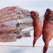 ヒメ日記 2026/03/28 19:57 投稿 竹内菜月 五十路マダム 博多店