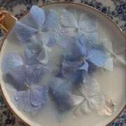 ヒメ日記 2025/10/05 11:37 投稿 せいら ハピネス東京