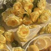 ヒメ日記 2025/11/13 21:07 投稿 せいら ハピネス東京