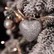 ヒメ日記 2025/11/25 21:07 投稿 せいら ハピネス東京