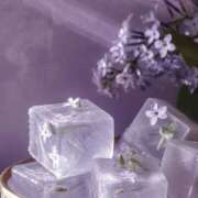 せいら 3月前半シフト🪽→ヒメチャンネルに載せました‼️ ハピネス東京