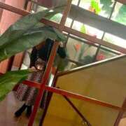 ヒメ日記 2025/11/15 20:08 投稿 すず マドンナSANSAIN