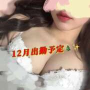 ヒメ日記 2025/12/07 14:58 投稿 すず マドンナSANSAIN