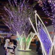 ヒメ日記 2025/12/23 18:48 投稿 すず マドンナSANSAIN