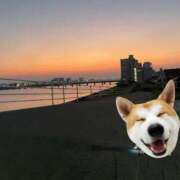 ヒメ日記 2026/02/13 13:08 投稿 すず マドンナSANSAIN